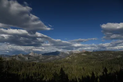 DSC_4162 (Large).JPG